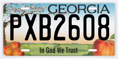 GA license plate PXB2608