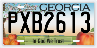 GA license plate PXB2613