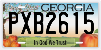 GA license plate PXB2615