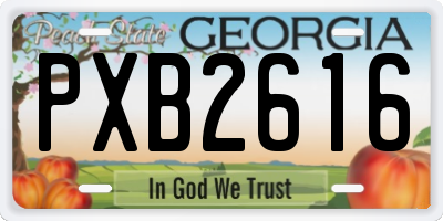 GA license plate PXB2616