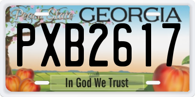 GA license plate PXB2617