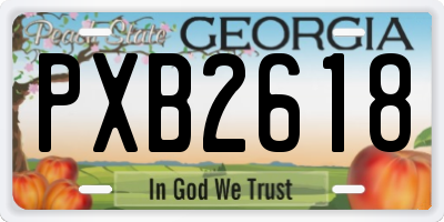 GA license plate PXB2618