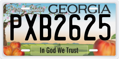 GA license plate PXB2625