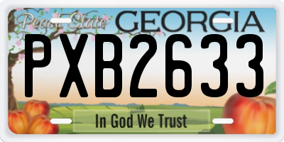 GA license plate PXB2633