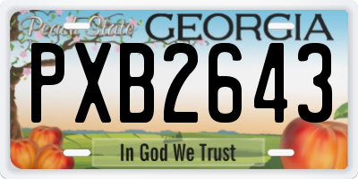 GA license plate PXB2643