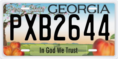 GA license plate PXB2644