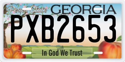 GA license plate PXB2653