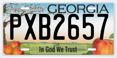 GA license plate PXB2657
