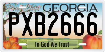 GA license plate PXB2666