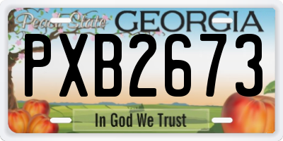 GA license plate PXB2673