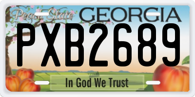 GA license plate PXB2689