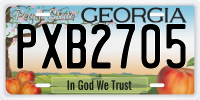 GA license plate PXB2705