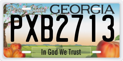 GA license plate PXB2713