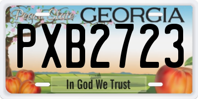 GA license plate PXB2723