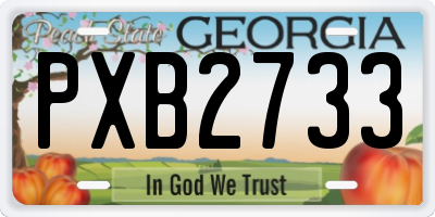GA license plate PXB2733