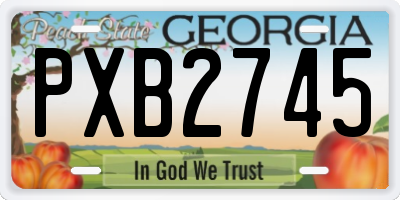 GA license plate PXB2745