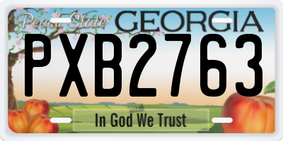 GA license plate PXB2763