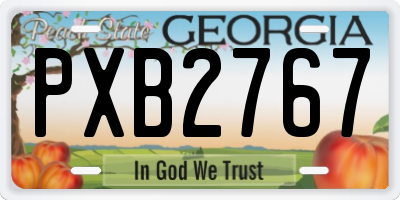 GA license plate PXB2767