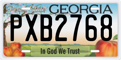 GA license plate PXB2768