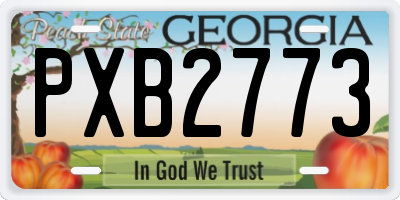 GA license plate PXB2773