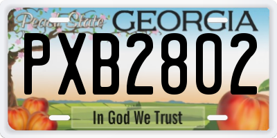 GA license plate PXB2802