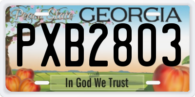 GA license plate PXB2803