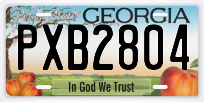 GA license plate PXB2804