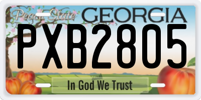 GA license plate PXB2805
