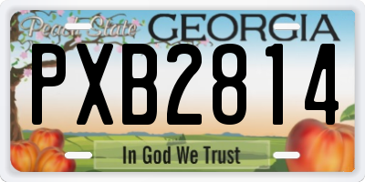 GA license plate PXB2814