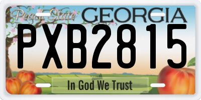GA license plate PXB2815