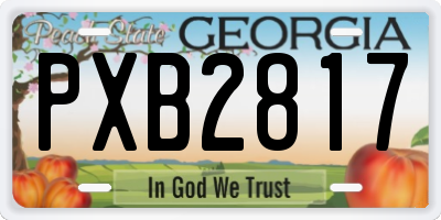 GA license plate PXB2817