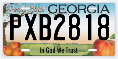 GA license plate PXB2818