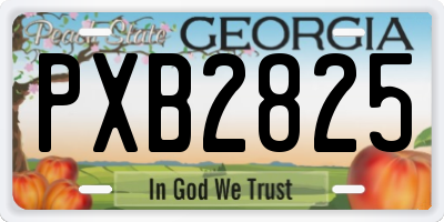 GA license plate PXB2825