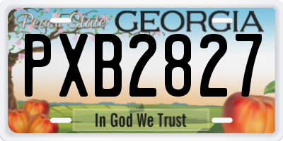 GA license plate PXB2827