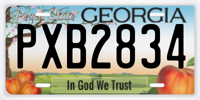 GA license plate PXB2834