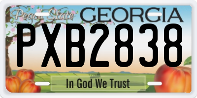 GA license plate PXB2838
