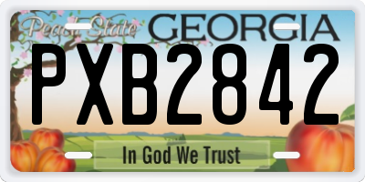 GA license plate PXB2842