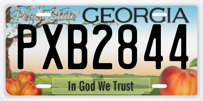 GA license plate PXB2844