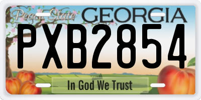 GA license plate PXB2854