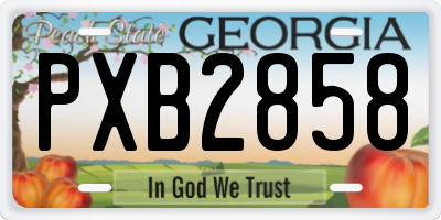 GA license plate PXB2858