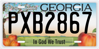 GA license plate PXB2867