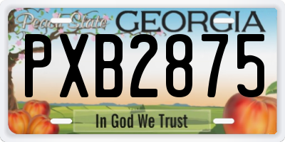 GA license plate PXB2875