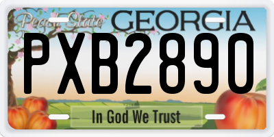 GA license plate PXB2890