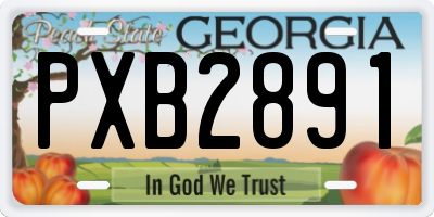 GA license plate PXB2891