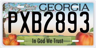 GA license plate PXB2893