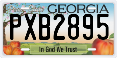 GA license plate PXB2895