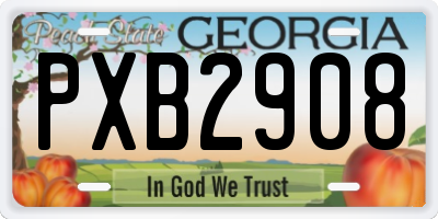 GA license plate PXB2908
