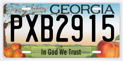 GA license plate PXB2915