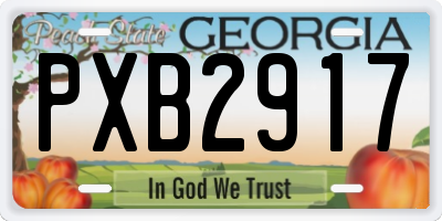 GA license plate PXB2917
