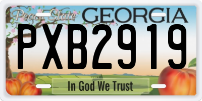 GA license plate PXB2919